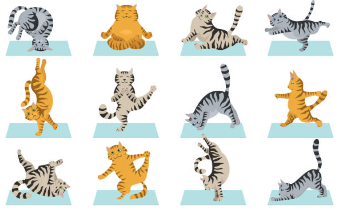 Different Types of Yoga